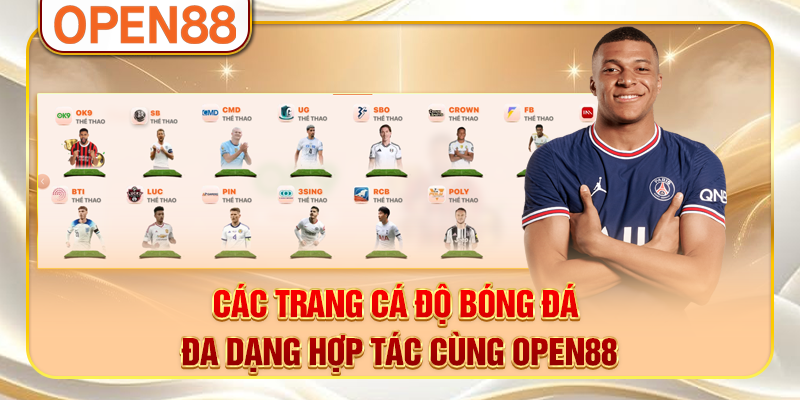 Các trang cá độ bóng đá đa dạng hợp tác cùng OPEN88 Các trang cá độ bóng đá đa dạng hợp tác cùng OPEN88