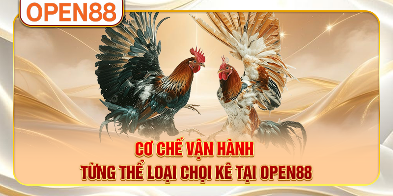 Cơ chế vận hành từng thể loại chọi kê tại OPEN88 Cơ chế vận hành từng thể loại chọi kê tại OPEN88